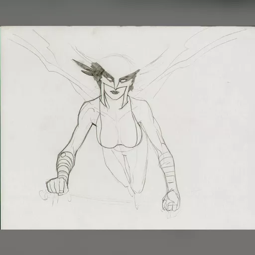 artist:adam_hughes medium:artwork // 1000x799 // 65.2KB // jpg // image/jpeg // hugheshawkwoman