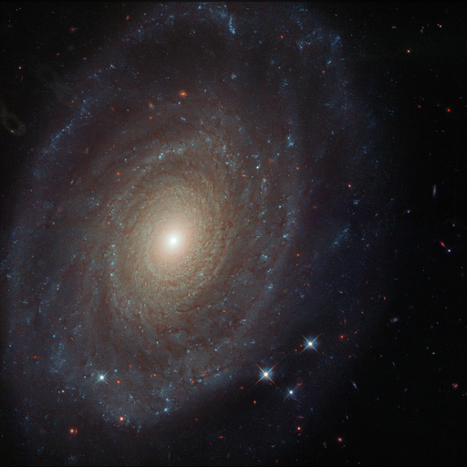 medium:photo space telescope:hubble // 3947x3924 // 25.7MB // webp // image/webp; lossless=true // potw2008a