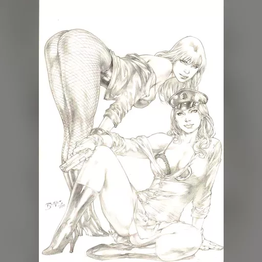 alias:black_canary artist:ed_benes character:dinah_drake grayscale lady_blackawk medium:artwork medium:drawing publisher:dc style:benes // 600x851 // 188.2KB // jpg // image/jpeg // benescanaryladyblackhawk