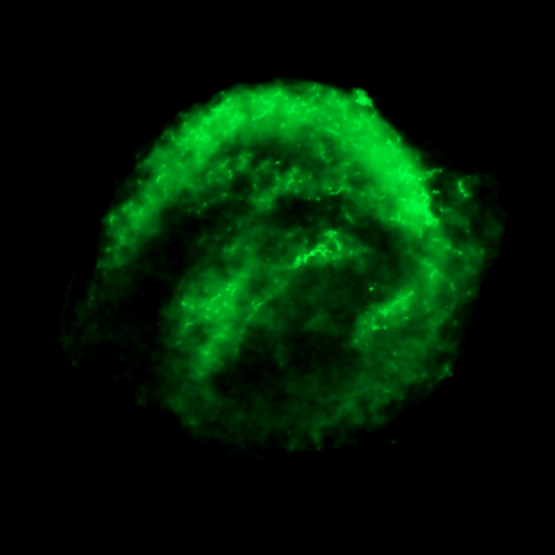 medium:photo space telescope:hubble // 750x750 // 116.3KB // webp // image/webp; lossless=true // opo0429d