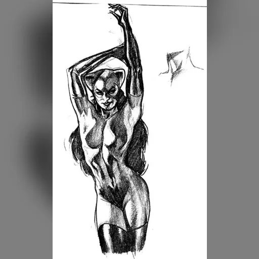 artist:adam_hughes character:selina_kyle medium:artwork // 465x780 // 63.8KB // jpg // image/jpeg // ah_catwoman (1)