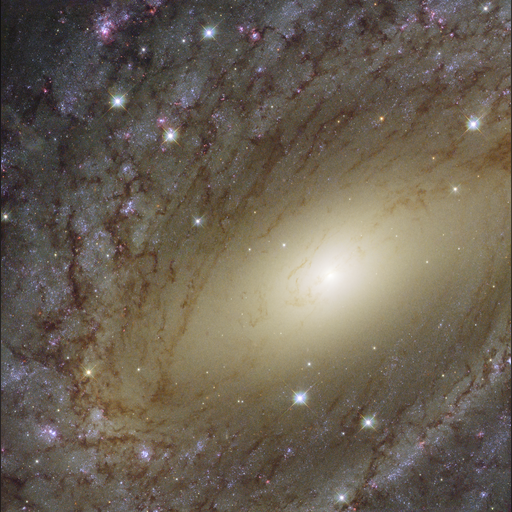 medium:photo space telescope:hubble // 4076x4095 // 32.1MB // webp // image/webp; lossless=true // potw1830a