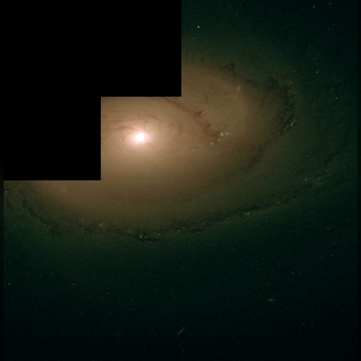 medium:photo space telescope:hubble // 1478x1506 // 1.2MB // webp // image/webp; lossless=true // heic0002b