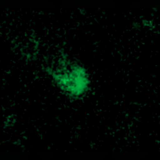 medium:photo space telescope:hubble // 680x614 // 33.2KB // webp // image/webp; lossless=true // opo0402f