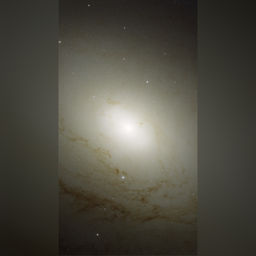 medium:photo space telescope:hubble // 2208x4062 // 7.0MB // webp // image/webp; lossless=true // heic0710d