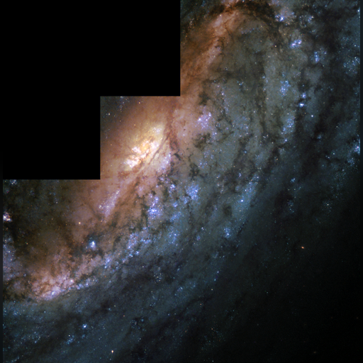 medium:photo space telescope:hubble // 1478x1502 // 2.5MB // webp // image/webp; lossless=true // heic0102a