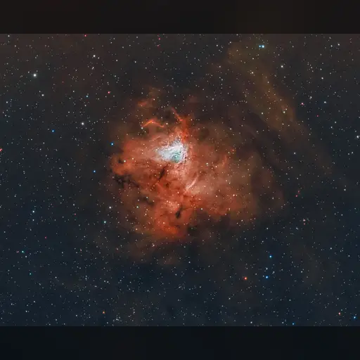 medium:photo site:wikipedia space // 2498x2032 // 1.1MB // jpg // image/jpeg // Fossil-Footprint