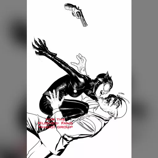 artist:adam_hughes medium:artwork // 495x747 // 75.1KB // jpg // image/jpeg // cw49lineartyahoo