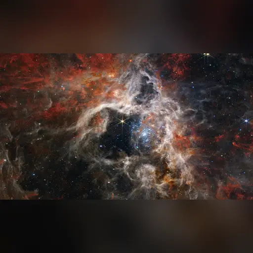 medium:photo site:wikipedia space // 14557x8418 // 71.3MB // jpg // image/jpeg // Tarantula_Nebula_by_JWST