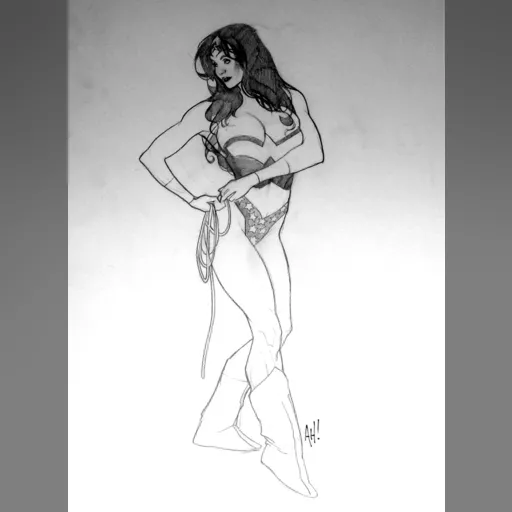 alias:wonder_woman artist:adam_hughes character:diana_of_themyscira medium:artwork publisher:dc // 914x1242 // 173.5KB // jpg // image/jpeg // AH-WonderWoman