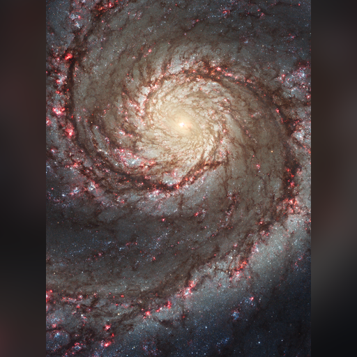 medium:photo space telescope:hubble // 2685x3617 // 15.9MB // webp // image/webp; lossless=true // opo1103c