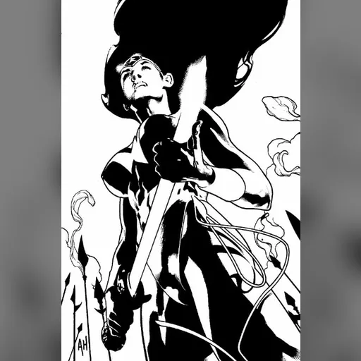 alias:wonder_woman artist:adam_hughes character:diana_of_themyscira medium:artwork publisher:dc // 477x720 // 55.6KB // jpg // image/jpeg // WW168bw