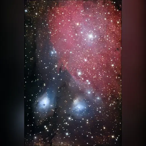 medium:photo site:wikipedia space // 667x1000 // 321.6KB // jpg // image/jpeg // N6590s