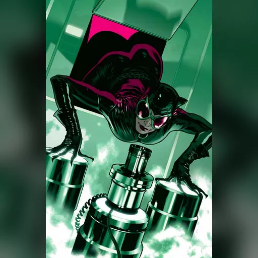 artist:adam_hughes character:selina_kyle medium:artwork // 481x747 // 73.9KB // jpg // image/jpeg // catwoman44