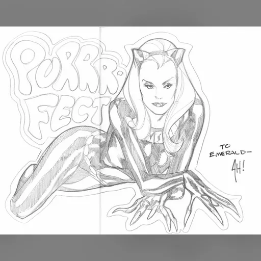 artist:adam_hughes character:selina_kyle medium:artwork // 809x645 // 98.3KB // jpg // image/jpeg // catwoman