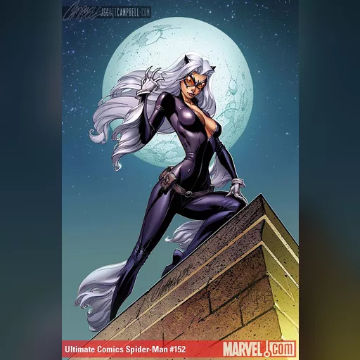 alias:black_cat artist:j_scott_campbell character:felicia_hardy medium:artwork publisher:marvel series:spider-man // 625x950 // 218.9KB // jpg // image/jpeg // ult__spider_man_black_cat_by_j_scott_campbell-d3arc52