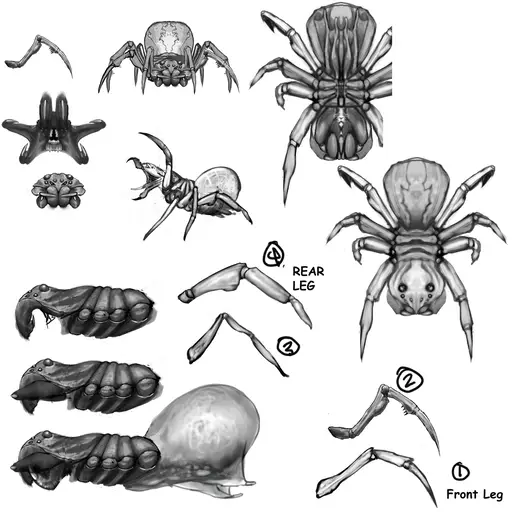 medium:artwork official series:tomb_raider stopgap tomb_raider_underworld // 1280x1280 // 550.9KB // jpg // image/jpeg // tru-concept1883E5F3A50-0929-C579-8832-FCE3A58FCC9B