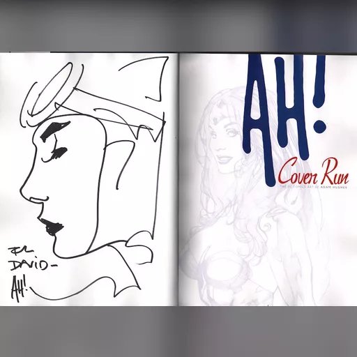 artist:adam_hughes medium:artwork // 900x642 // 126.9KB // jpg // image/jpeg // CoverRunAHsketch