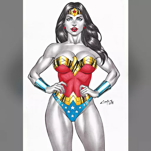 alias:wonder_woman artist:carlos_braga character:diana_of_themyscira medium:artwork medium:drawing publisher:dc style:benes // 1024x1469 // 183.4KB // jpg // image/jpeg // wonder_woman_____by_carlosbragaart80_dcsz3bm-fullview