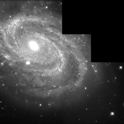 medium:photo space telescope:hubble // 1501x1492 // 395.0KB // jpg // image/jpeg // opo9919b