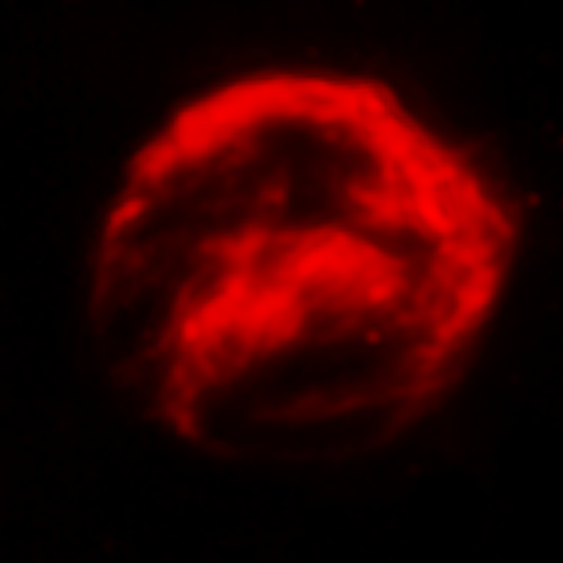 medium:photo space telescope:hubble // 750x750 // 106.2KB // webp // image/webp; lossless=true // opo0429f