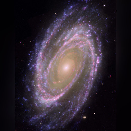 medium:photo space telescope:hubble // 2456x3180 // 7.4MB // webp // image/webp; lossless=true // heic0710b