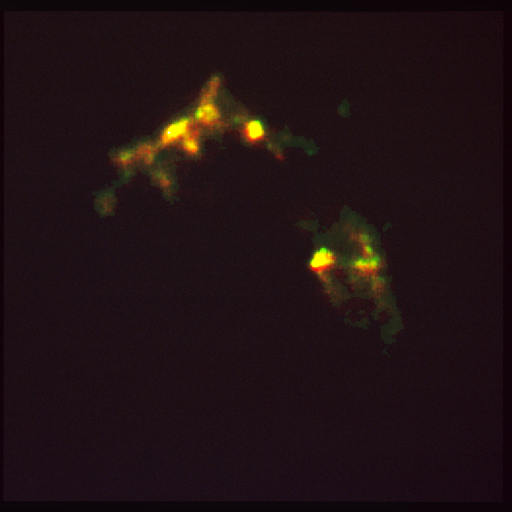 medium:photo space telescope:hubble // 2503x2400 // 7.5MB // webp // image/webp; lossless=true // opo9309a