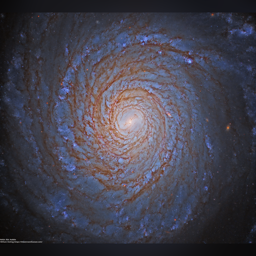 space // 3274x2956 // 11.5MB // webp // image/webp; lossless=true // 52617661395_4c78a8c7f6_o