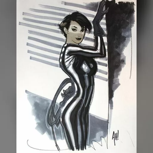 artist:adam_hughes medium:artwork // 753x960 // 78.1KB // jpg // image/jpeg // 1726094-eccc_2011_selina_kyle_adam_hughes