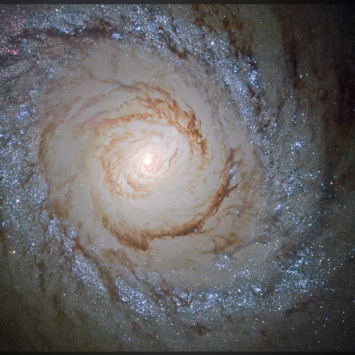 medium:photo space telescope:hubble // 1002x981 // 1.7MB // webp // image/webp; lossless=true // potw1542a