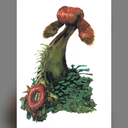 medium:artwork official_artwork series:tomb_raider stopgap tomb_raider_angel_of_darkness // 1512x2048 // 931.3KB // jpg // image/jpeg // SRWC-PRN-2214040110490