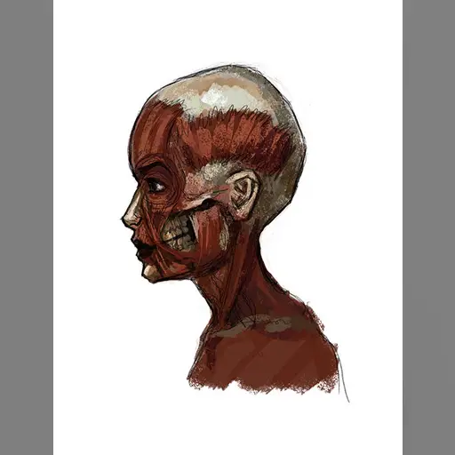 medium:artwork official series:tomb_raider stopgap tomb_raider_anniversary // 785x1024 // 93.5KB // jpg // image/jpeg // tra-concept024642B296C-26A0-61B4-7529-7D75AEA2E5ED