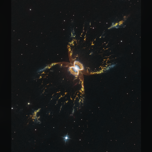 medium:photo site:wikipedia space telescope:hubble // 2100x2460 // 4.9MB // webp // image/webp; lossless=true // The_Crab_of_the_Southern_Sky_Hen_2-104