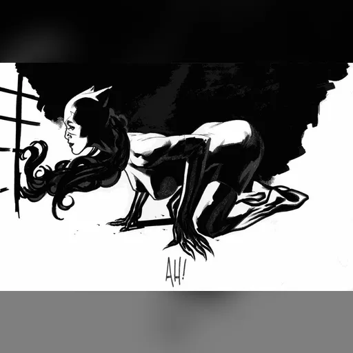 artist:adam_hughes character:selina_kyle medium:artwork // 1006x650 // 69.3KB // jpg // image/jpeg // catw