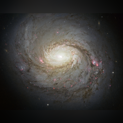medium:photo space telescope:hubble // 2948x2321 // 8.6MB // webp // image/webp; lossless=true // heic1305a