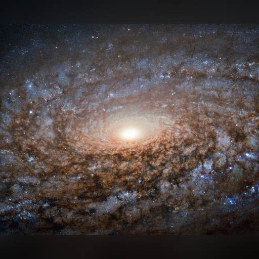 medium:photo space telescope:hubble // 1270x1038 // 2.3MB // webp // image/webp; lossless=true // potw1538a