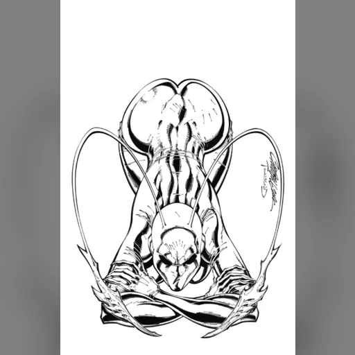 artist:j_scott_campbell medium:artwork // 434x655 // 98.3KB // jpg // image/jpeg // Campbell_ant_cover