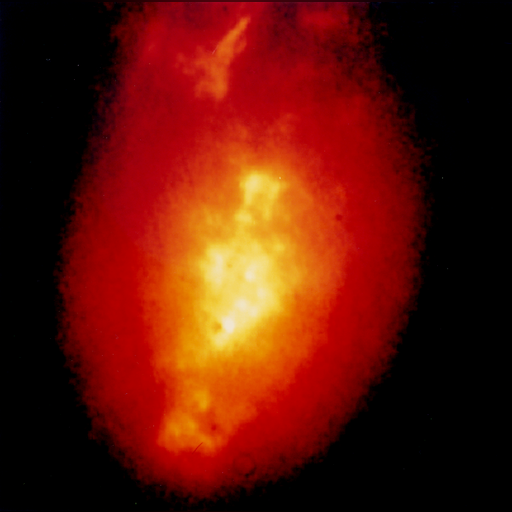 medium:photo space telescope:hubble // 808x804 // 355.7KB // webp // image/webp; lossless=true // opo9407b