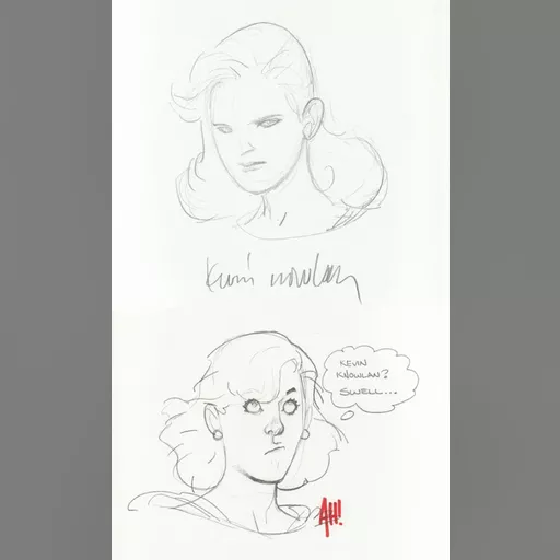 artist:adam_hughes medium:artwork // 600x995 // 58.7KB // jpg // image/jpeg // hughesnowlan