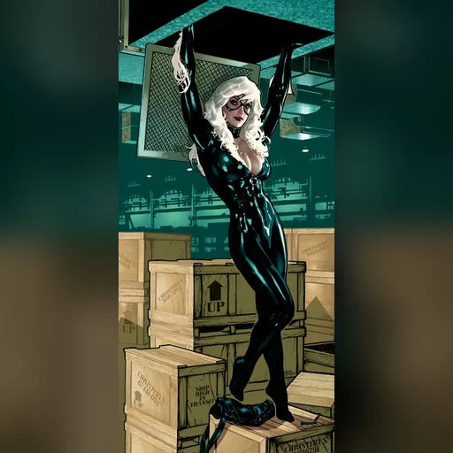 alias:black_cat artist:adam_hughes character:felicia_hardy medium:artwork publisher:marvel series:spider-man // 377x792 // 87.1KB // jpg // image/jpeg // DkHTpIjU0AAIzqt