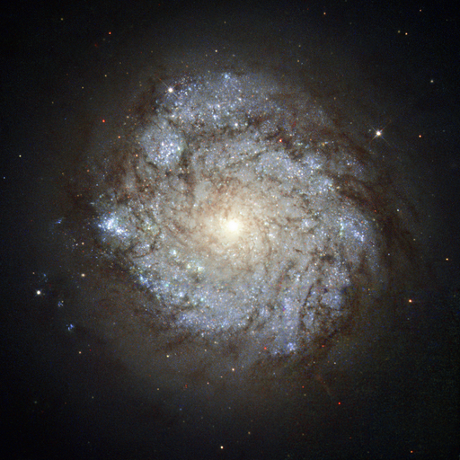 medium:photo space telescope:hubble // 868x868 // 1.3MB // webp // image/webp; lossless=true // potw1641a