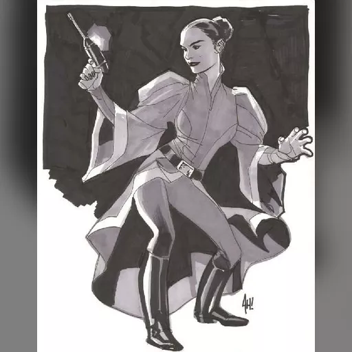 artist:adam_hughes medium:artwork // 497x630 // 41.7KB // jpg // image/jpeg // HughesAmidala