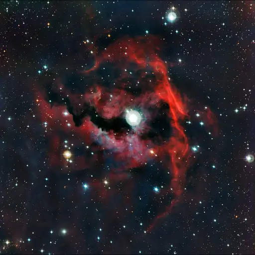 medium:photo site:wikipedia space // 6554x6528 // 38.7MB // jpg // image/jpeg // Seagull_Nebula
