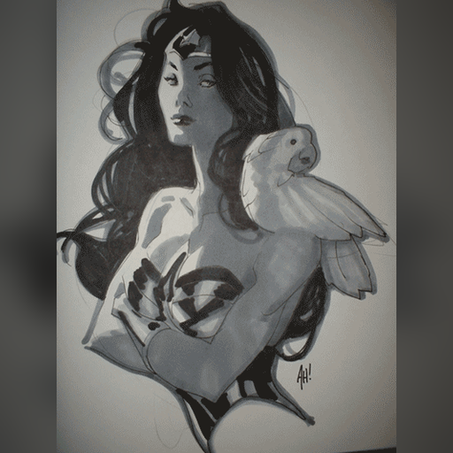 artist:adam_hughes medium:artwork // 400x533 // 61.2KB // webp // image/webp; lossless=true // wondAHwoman