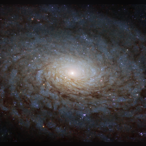 medium:photo space telescope:hubble // 1023x966 // 1.4MB // webp // image/webp; lossless=true // potw1941a