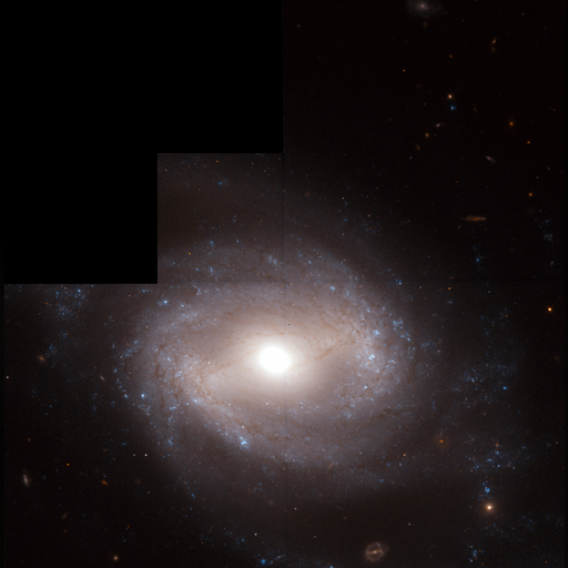 medium:photo space telescope:hubble // 1483x1505 // 1.4MB // webp // image/webp; lossless=true // opo9621b