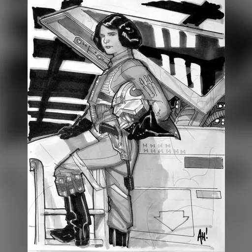 artist:adam_hughes medium:artwork // 507x648 // 68.4KB // jpg // image/jpeg // princess_leia_ah_star_wars_celebration_europe02