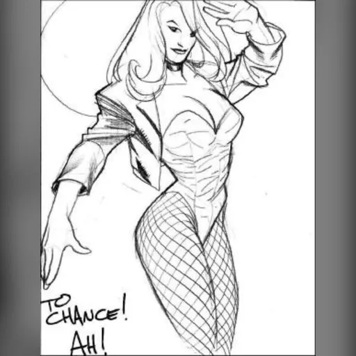alias:black_canary artist:adam_hughes character:dinah_drake medium:artwork publisher:dc // 300x388 // 25.6KB // jpg // image/jpeg // blackcanary