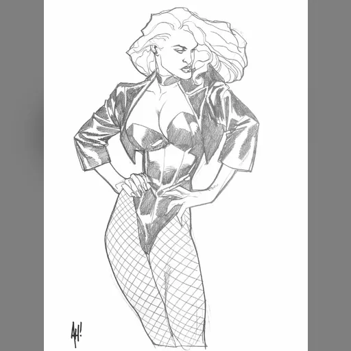 alias:black_canary artist:adam_hughes character:dinah_drake medium:artwork publisher:dc // 646x858 // 76.5KB // jpg // image/jpeg // blackcanary_2