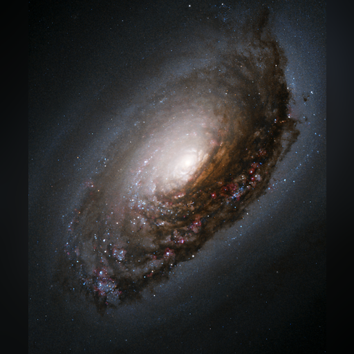 medium:photo space telescope:hubble // 897x1065 // 1.1MB // webp // image/webp; lossless=true // opo0404a